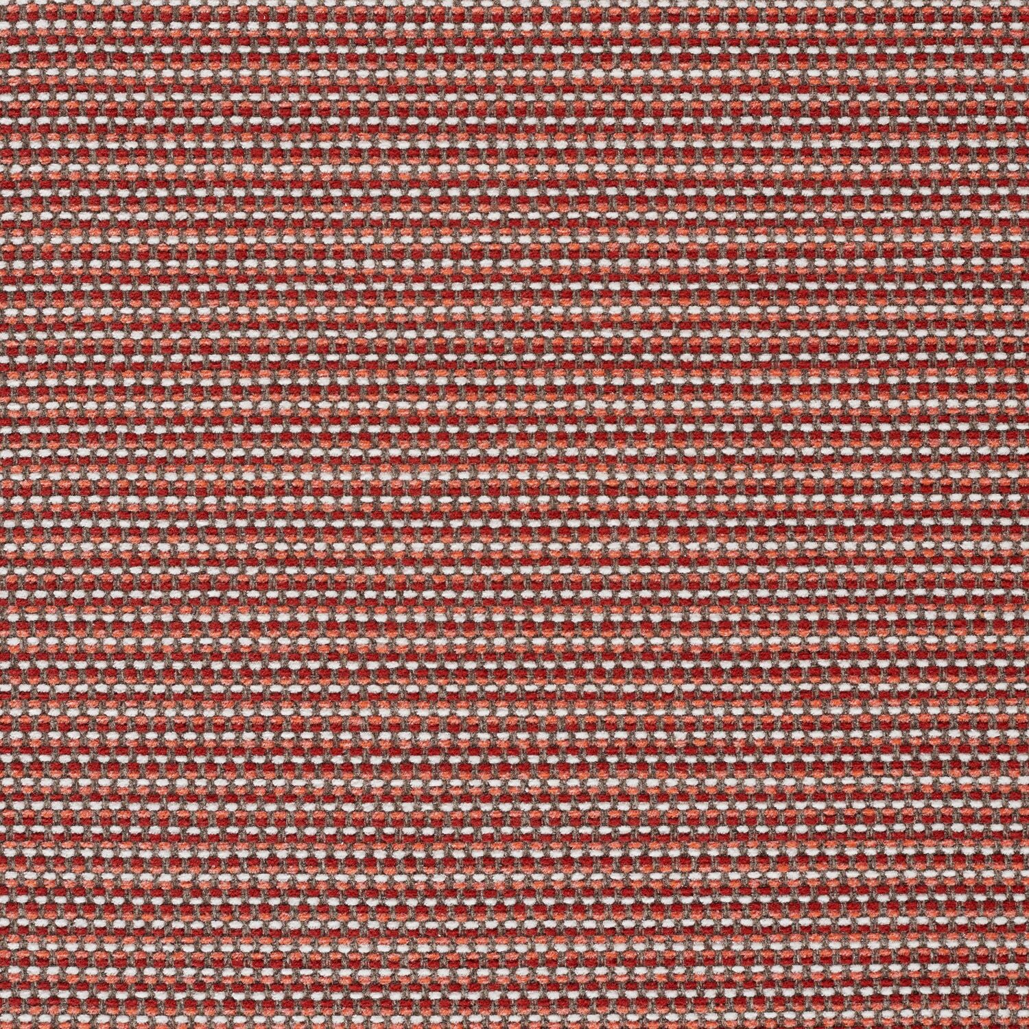 Megapixel - Roe - 4097 - 04