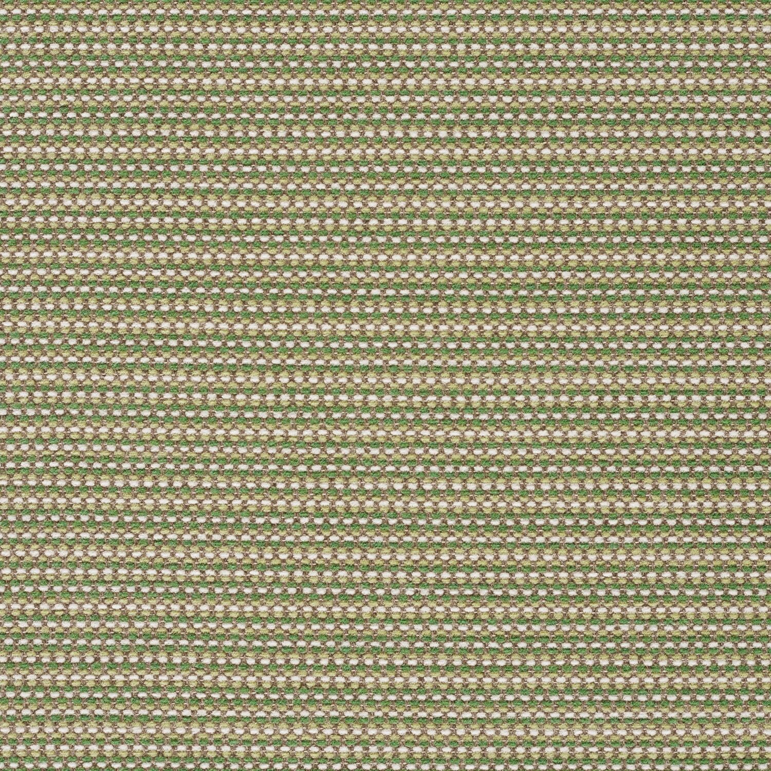 Megapixel - Seedling - 4097 - 06