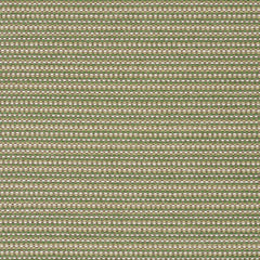 Megapixel - Seedling - 4097 - 06