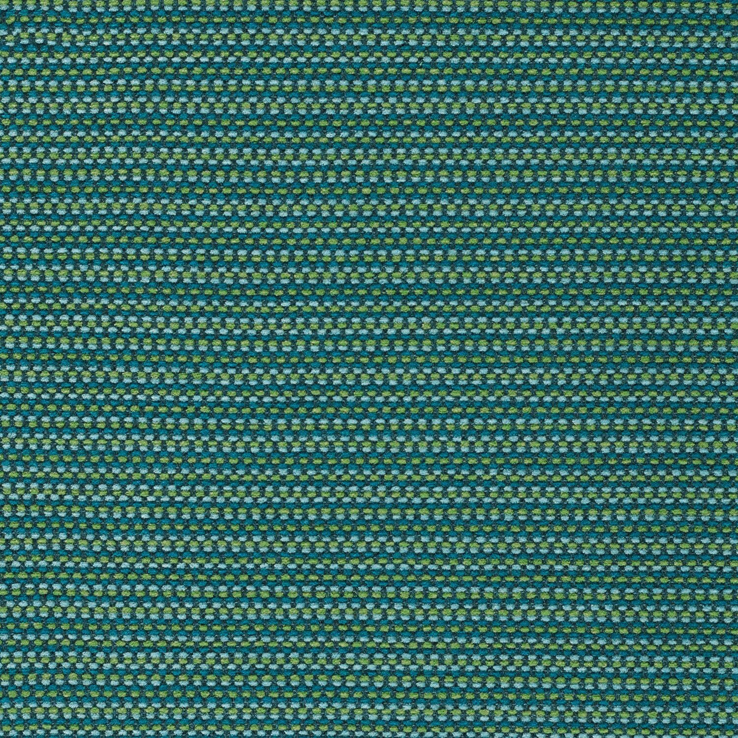 Megapixel - Algae - 4097 - 07