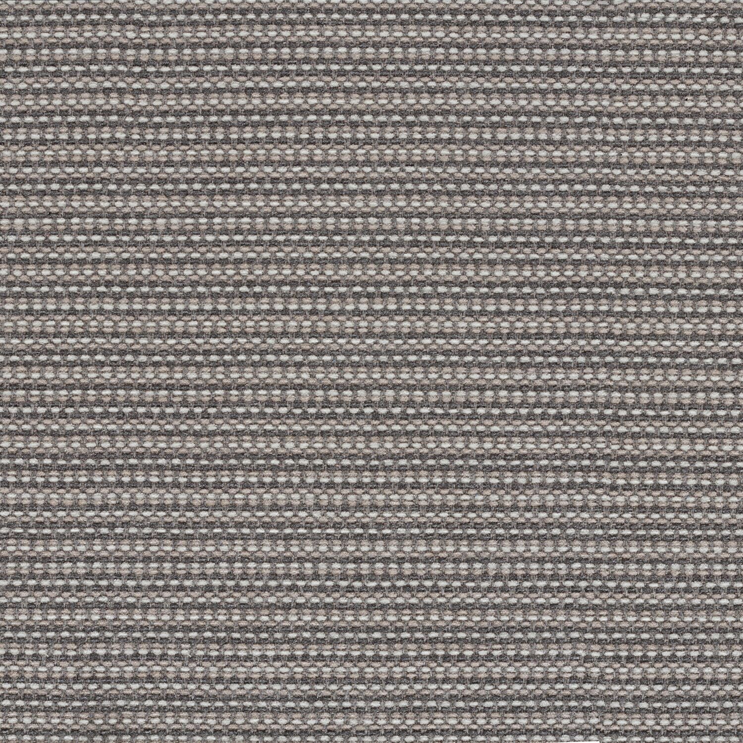 Megapixel - Barnacle - 4097 - 12