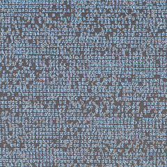 Photogram - Cyanotype - 4094 - 08