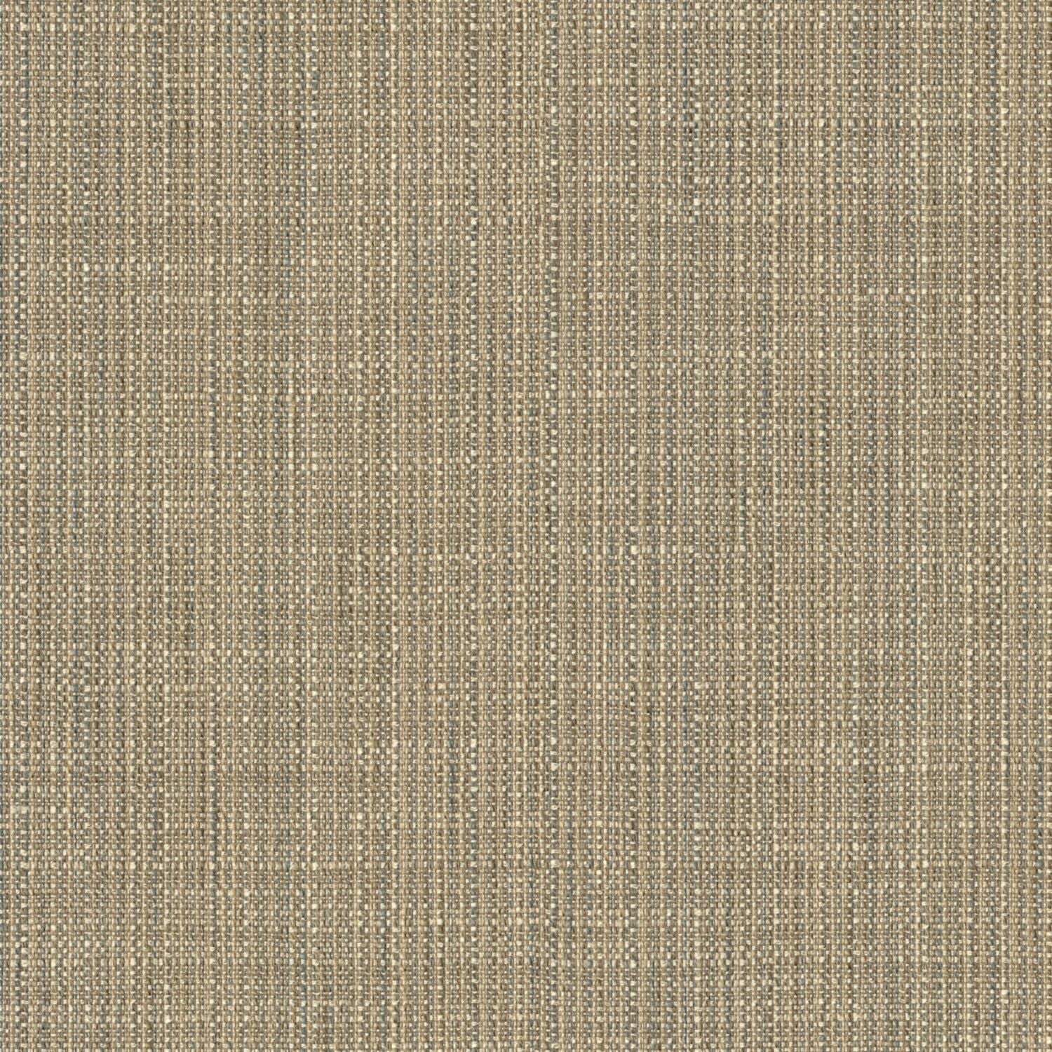 Particulate - Molecule - 4109 - 01