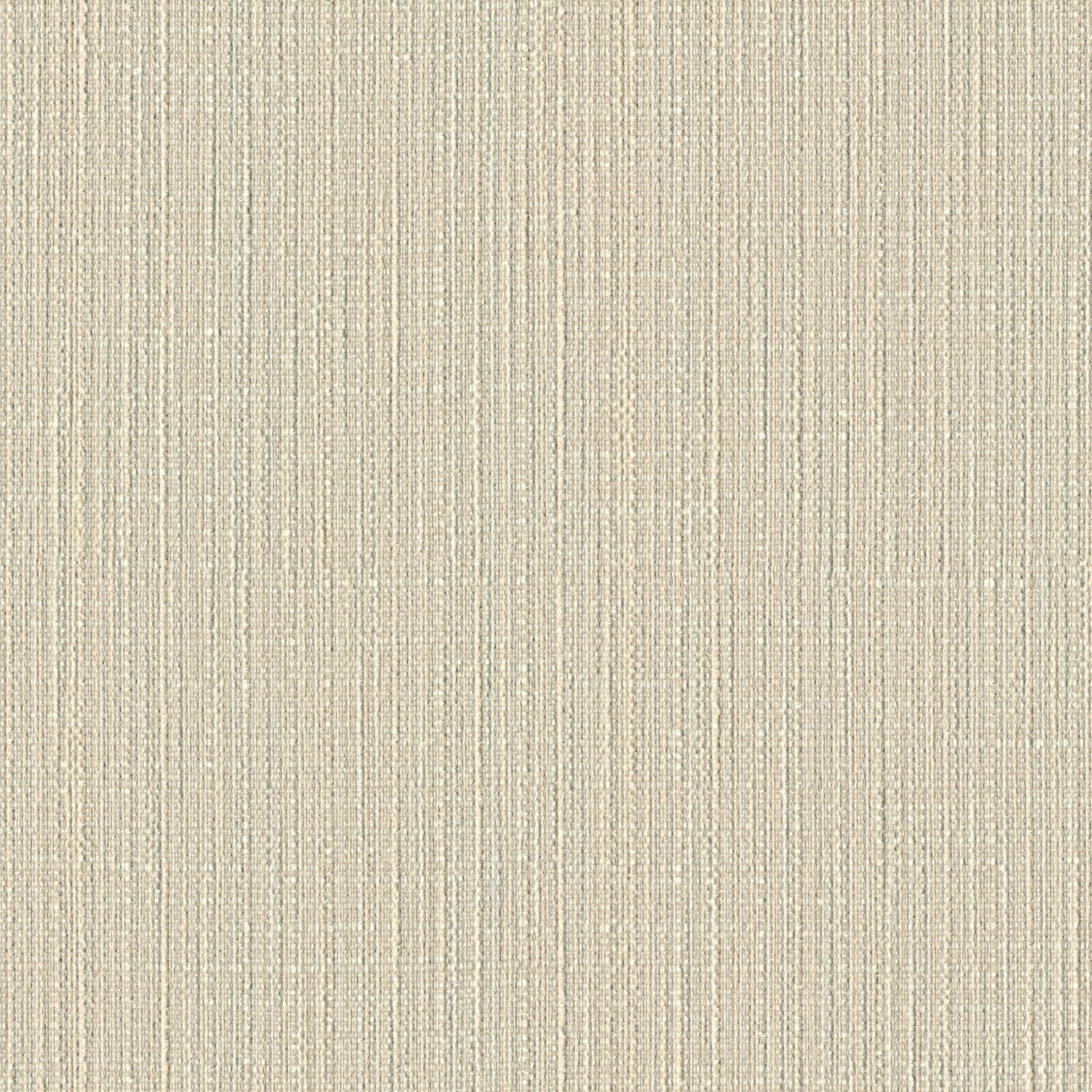 Particulate - Light Speed - 4109 - 02