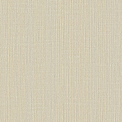 Particulate - Light Speed - 4109 - 02