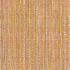 Particulate - Quasar - 4109 - 14
