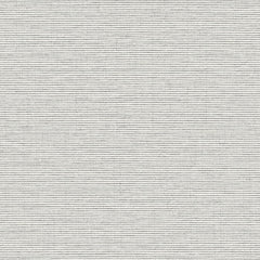 Impasto - Alabaster - 7021 - 03