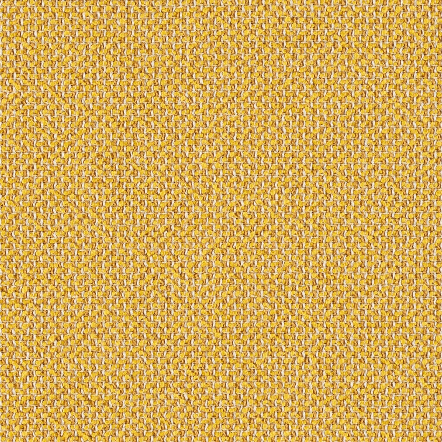 Interstice - Scintilla - 4061 - 05