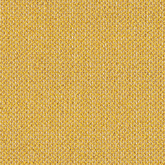 Interstice - Scintilla - 4061 - 05