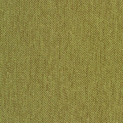 Percept - Reason - 4040 - 09 - Half Yard