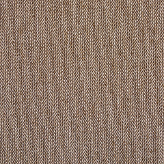 Percept - Schema - 4040 - 07