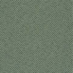 Ample - Equilibrium - 4034 - 18
