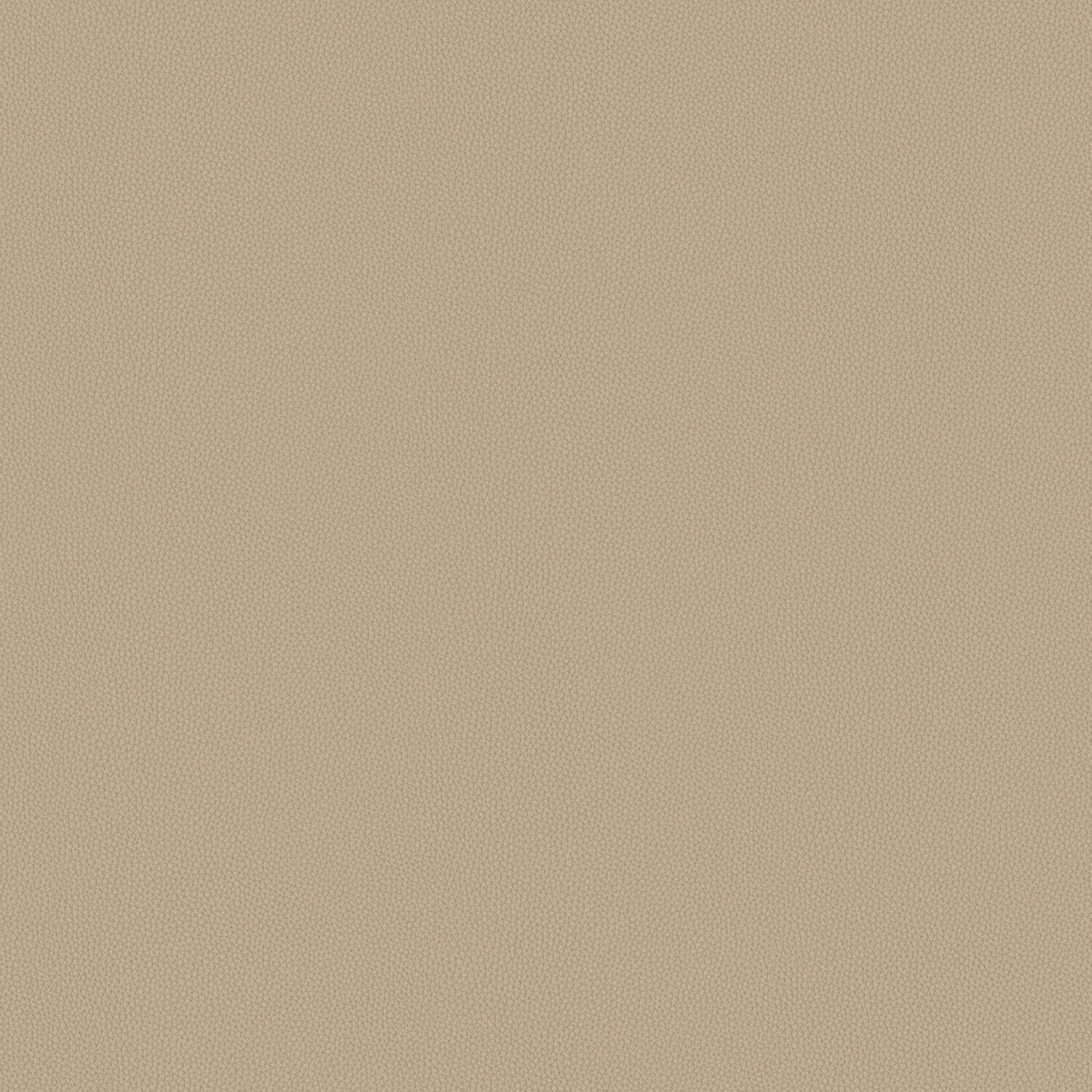 Touch Tone - Sycamore - 4117 - 07