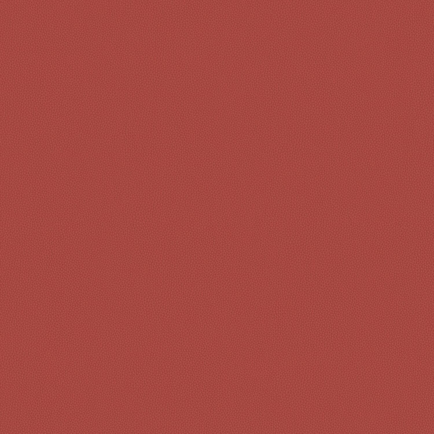 Touch Tone - Pyracantha - 4117 - 10