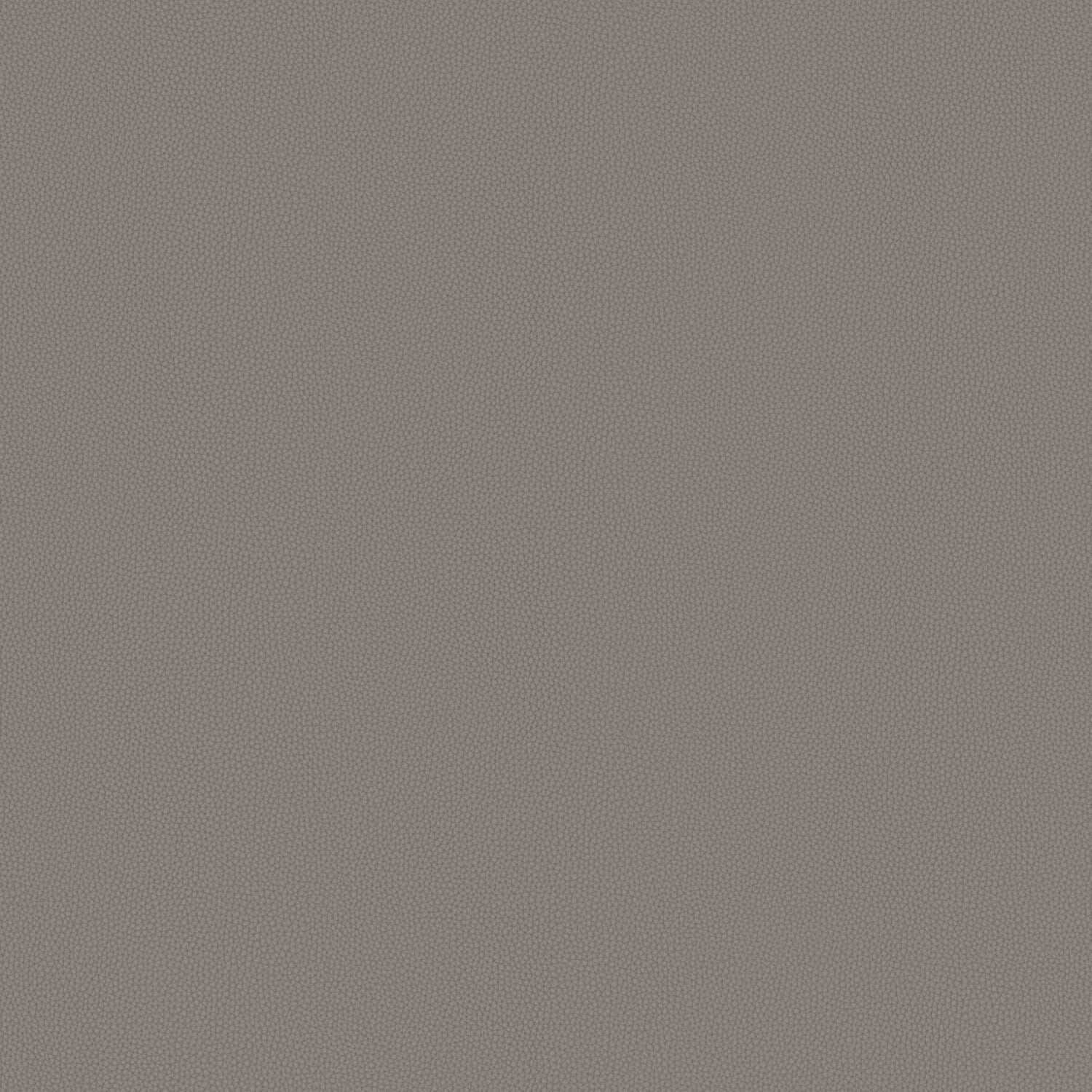 Touch Tone - Field Stone - 4117 - 13