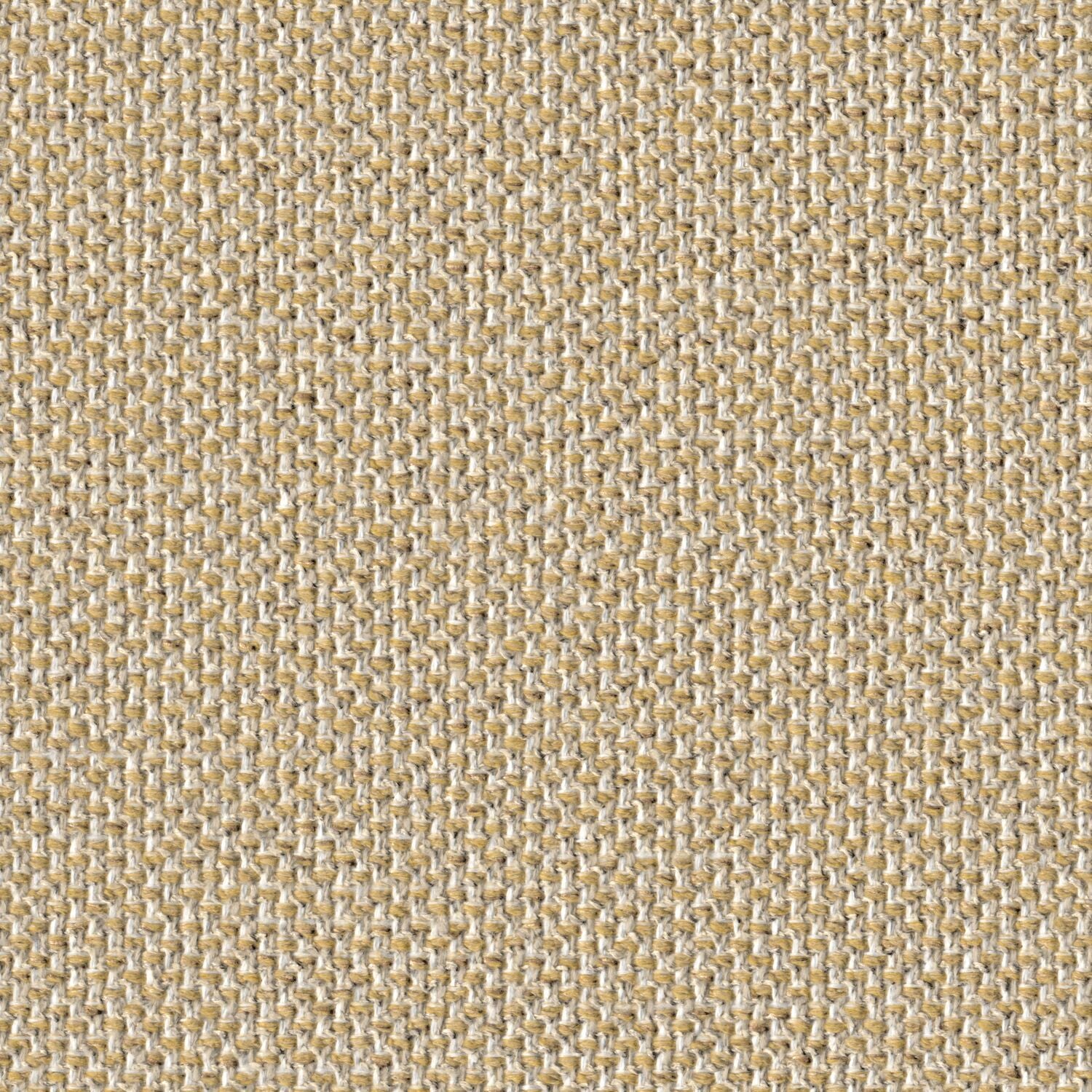 Trichroma - Amble - 4127 - 07