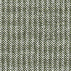 Trichroma - Cultivate - 4127 - 10