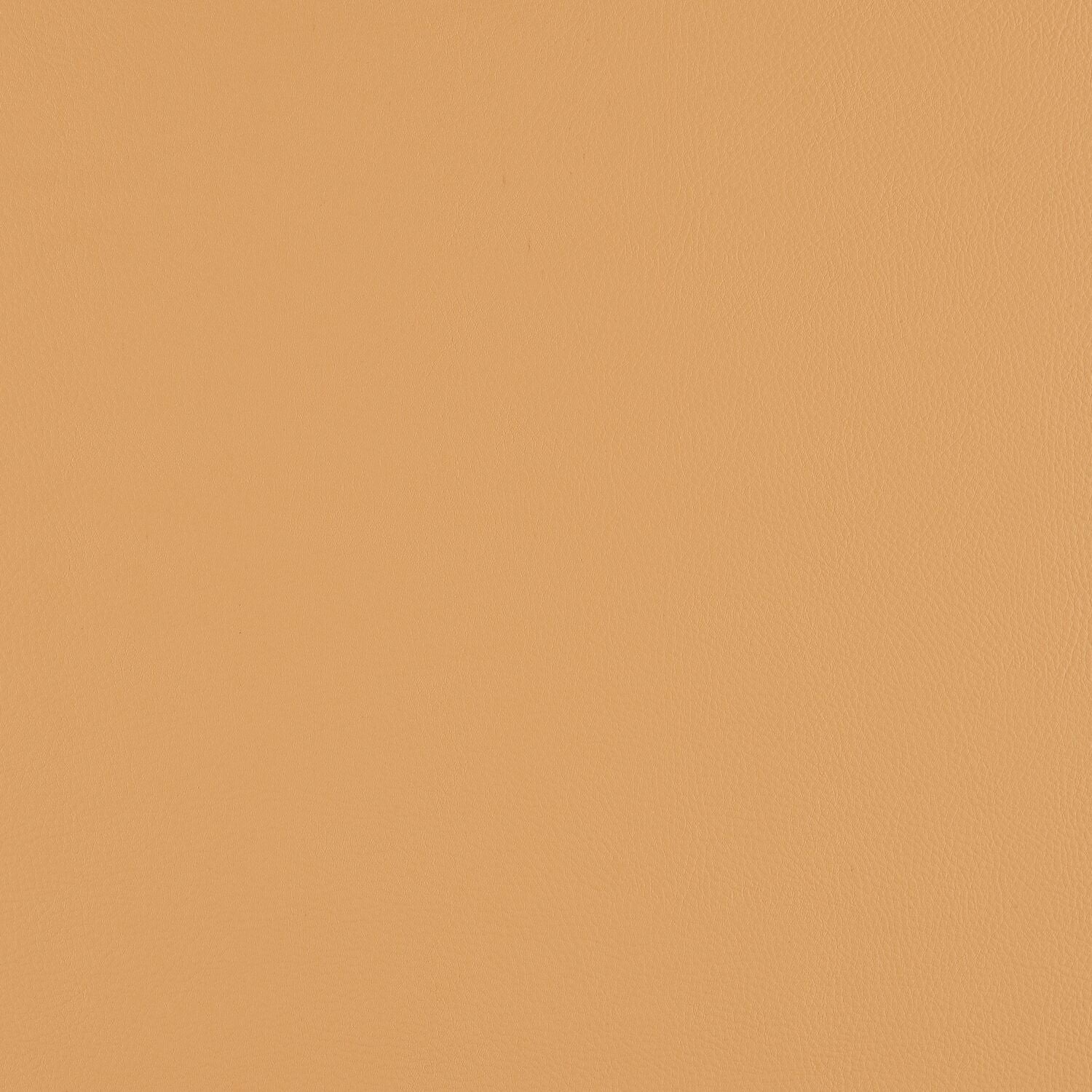 Top Coat - Toast - 4083 - 10