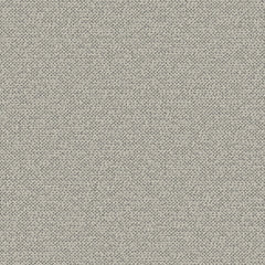 Texture Map - Trace Fossil - 2004 - 04