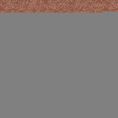 Texture Map - Coralline - 2004 - 07