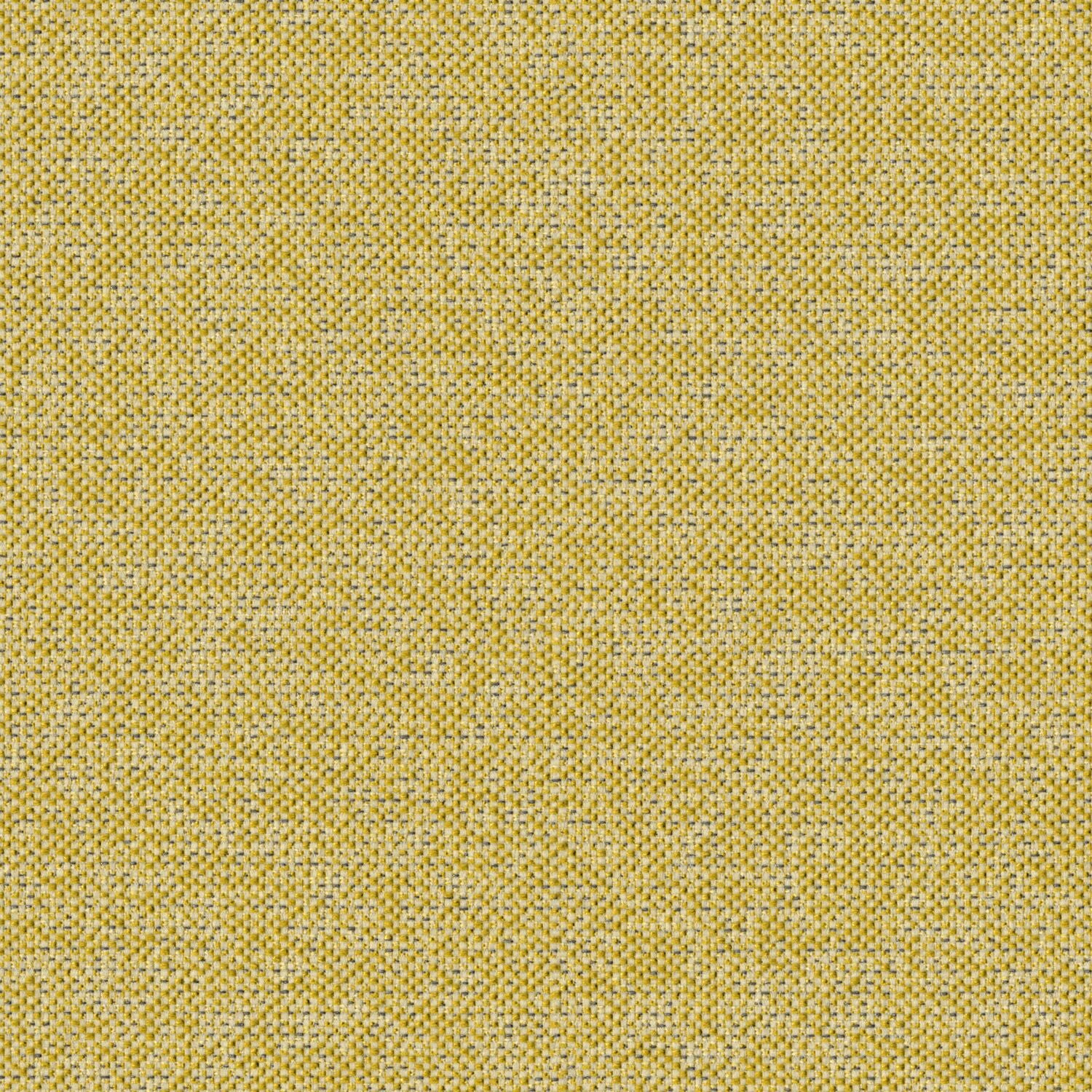 Texture Map - Elm Pollen - 2004 - 10