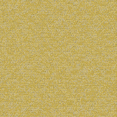 Texture Map - Elm Pollen - 2004 - 10
