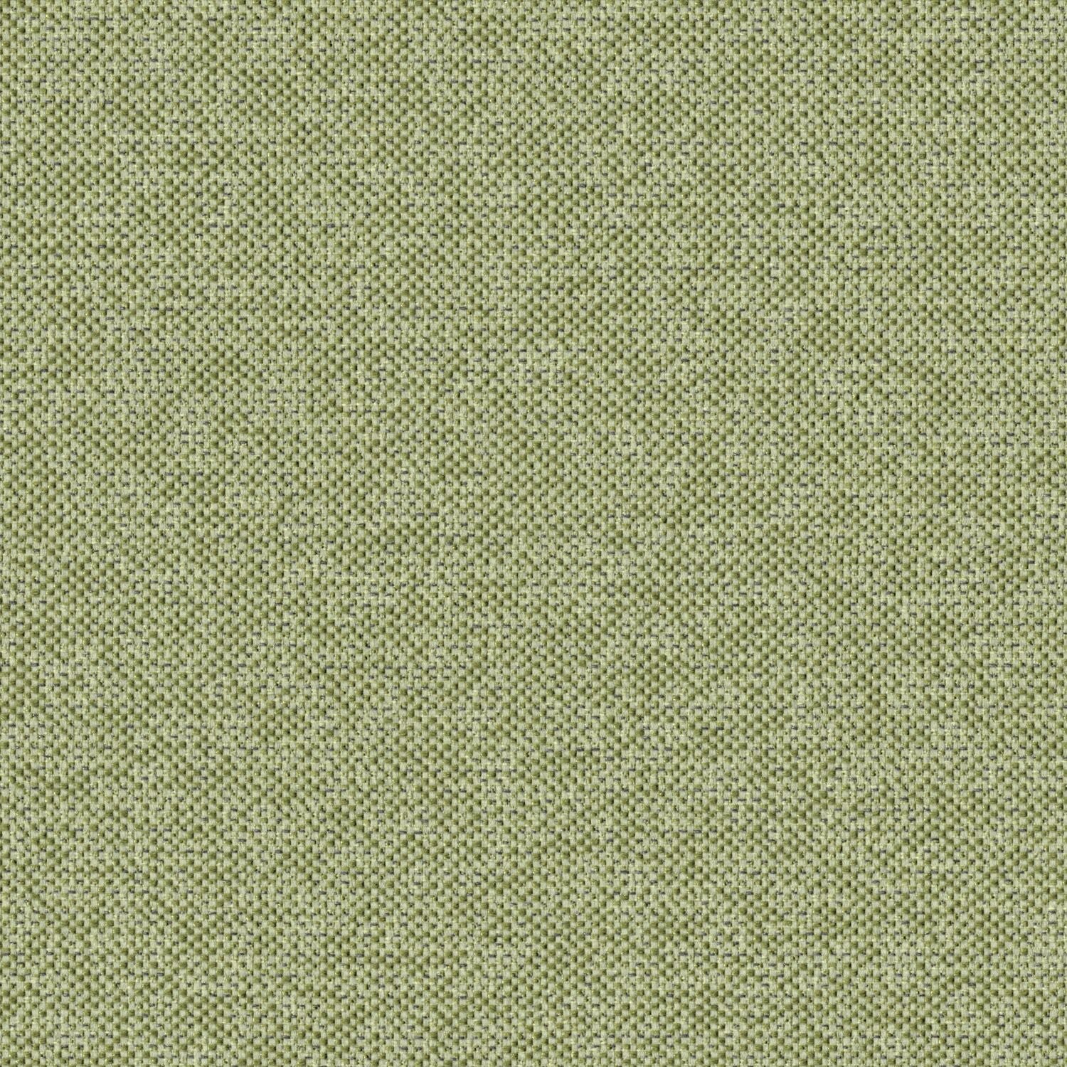 Texture Map - Miocene - 2004 - 11