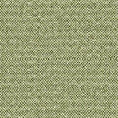 Texture Map - Miocene - 2004 - 11