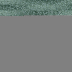 Texture Map - Green Algae - 2004 - 13