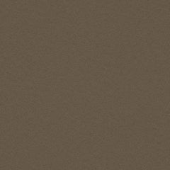 Essentials - Brier - 1006 - 04