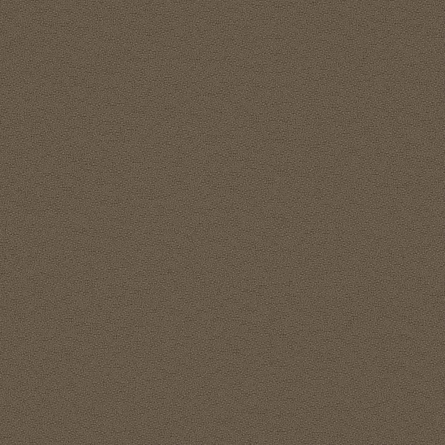 Fundamentals - Brier - 4001 - 04 - Half Yard