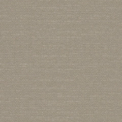 Warp Speed - Earth Orbit - 1007 - 07 - Half Yard