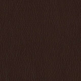 Fortis - Terra - 4025 - 04