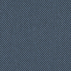 Magnify - Long Wave - 4019 - 06 - Half Yard