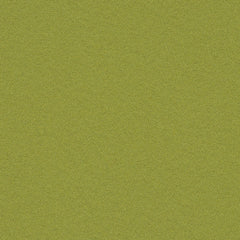 Fundamentals - Parakeet - 4001 - 12