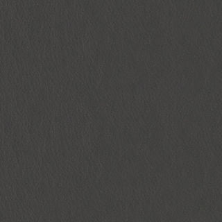 Pela - Fern - 4024 - 07