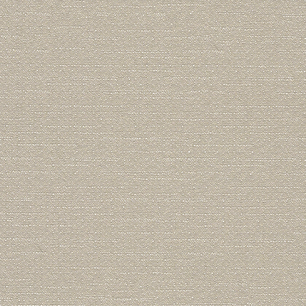 Warp Speed - Reed Arrow - 1007 - 04