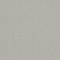 Topology - Shadow - 1011 - 05