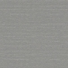 Warp Speed - Steel Racer - 1007 - 06 - Half Yard