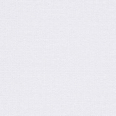 Warp Speed - White Space - 1007 - 02