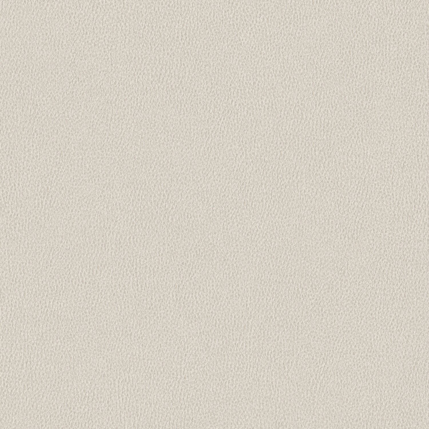 Nomad - Plateau - 4149 - 01