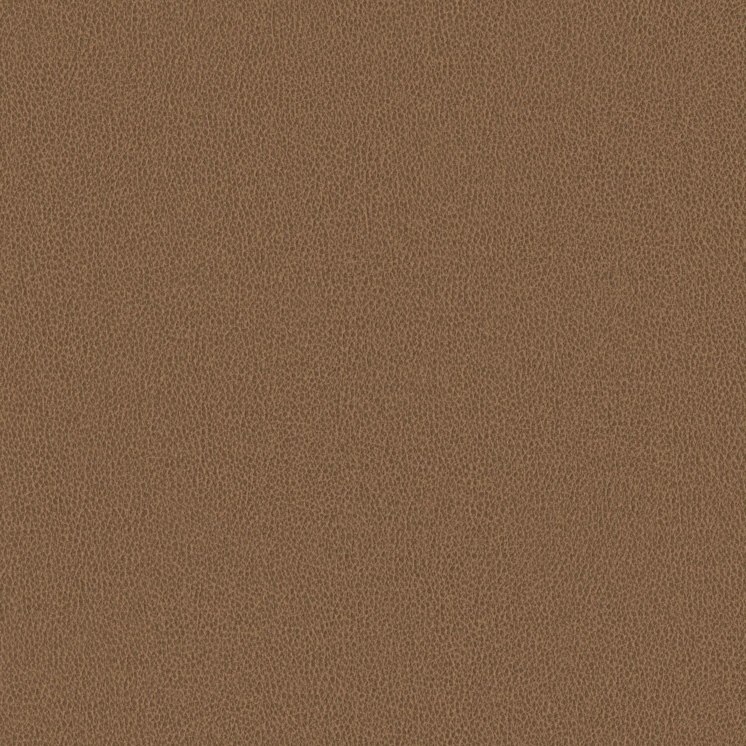Nomad - Camel - 4149 - 05