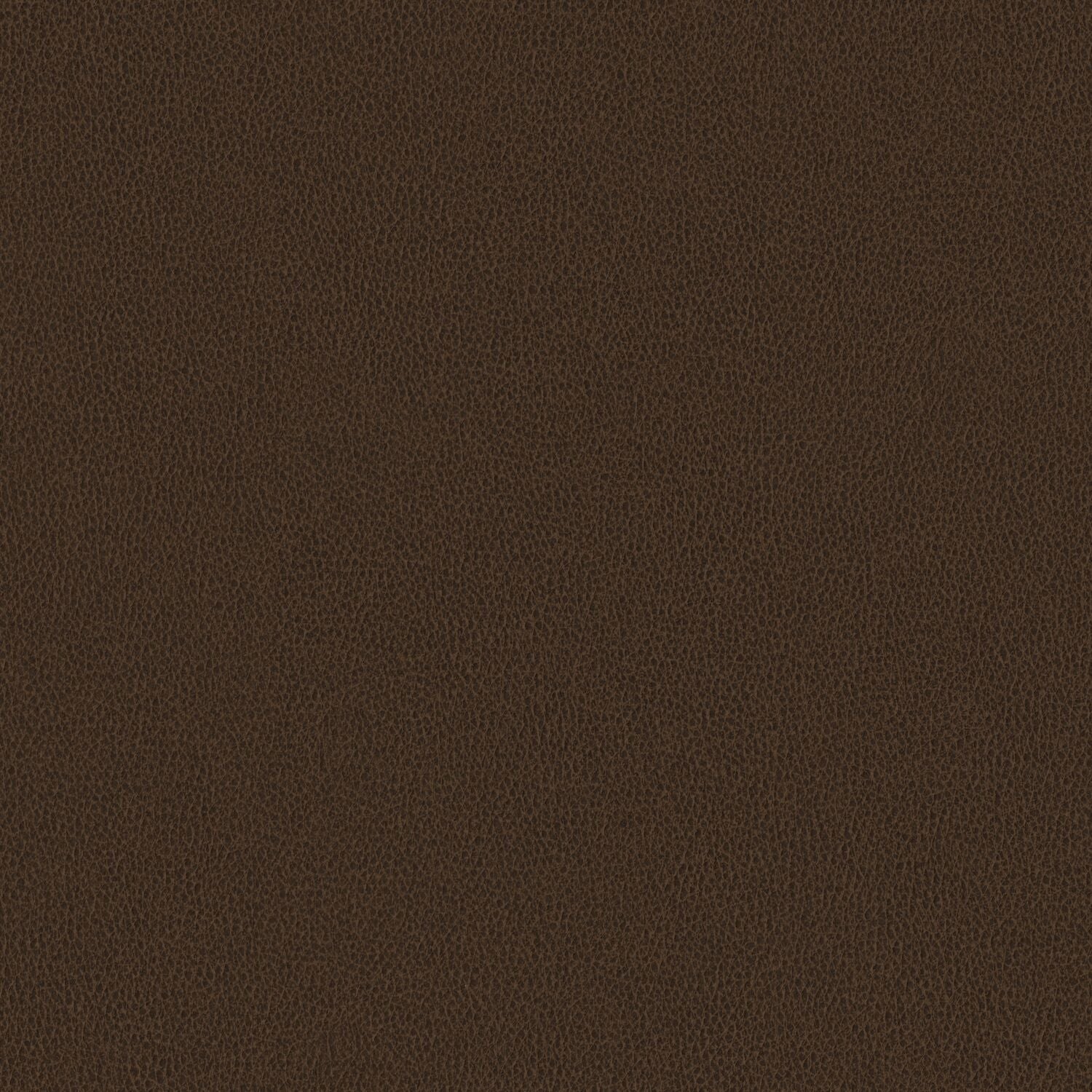 Nomad - Oasis - 4149 - 06