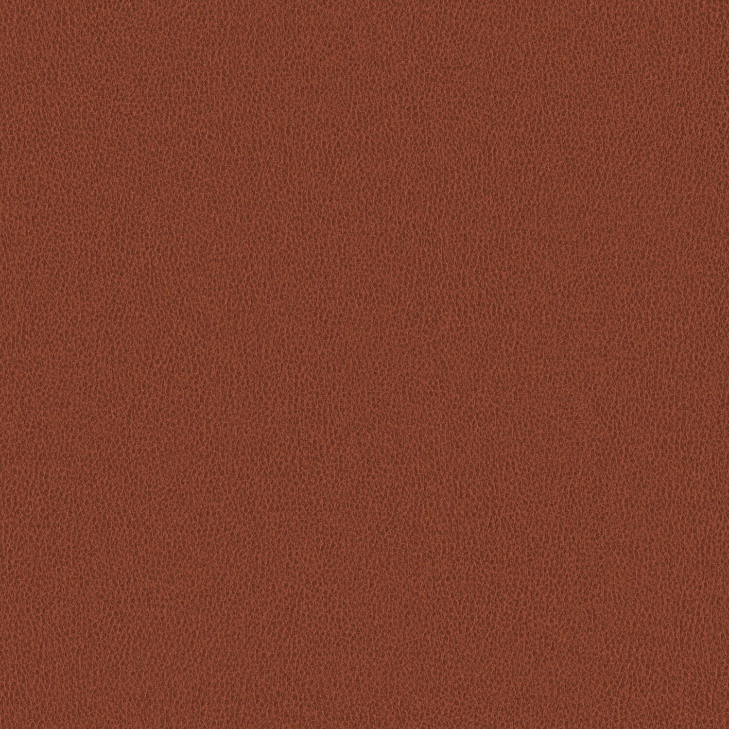 Nomad - Foxtail - 4149 - 08
