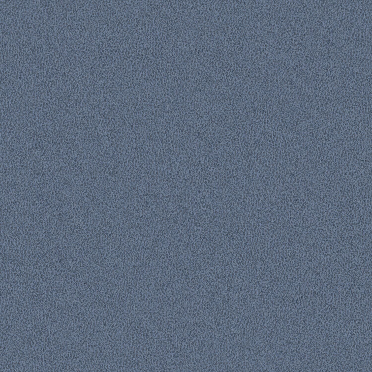 Nomad - Cornflower - 4149 - 16