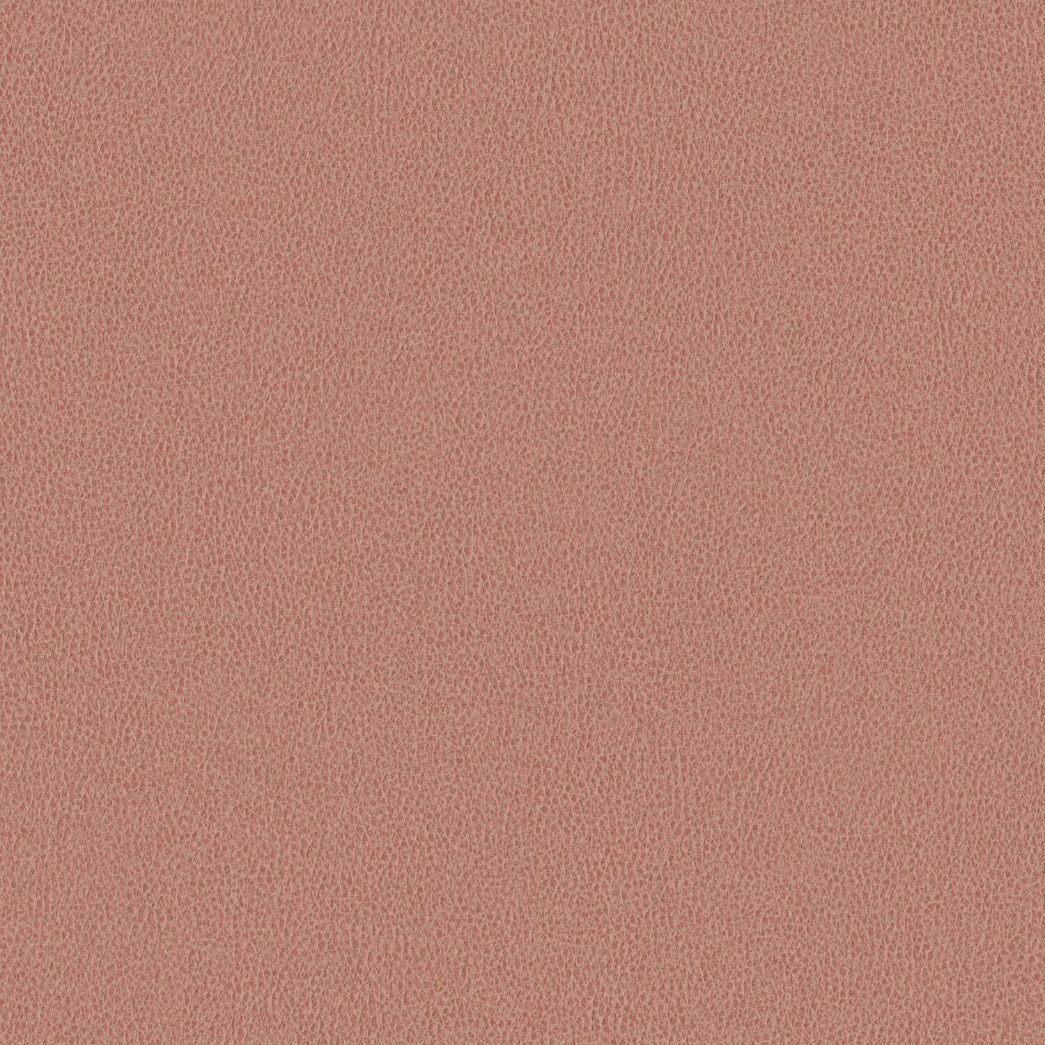 Nomad - Flamingo - 4149 - 17