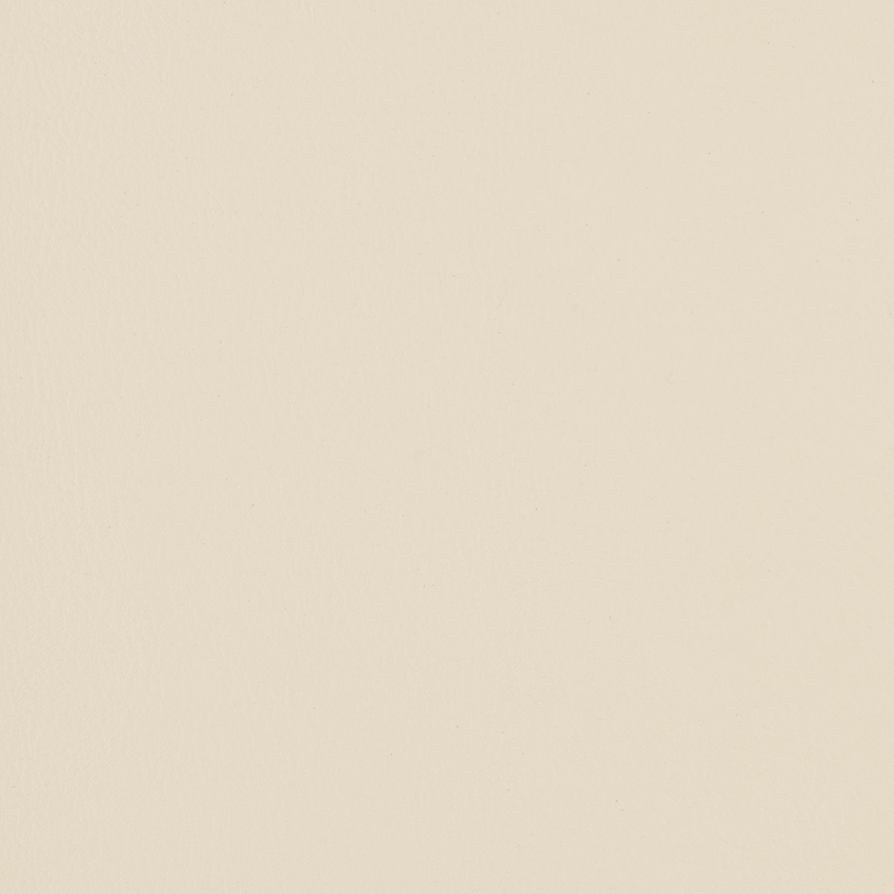Fine Grain - Putty Paste - 4046 - 04