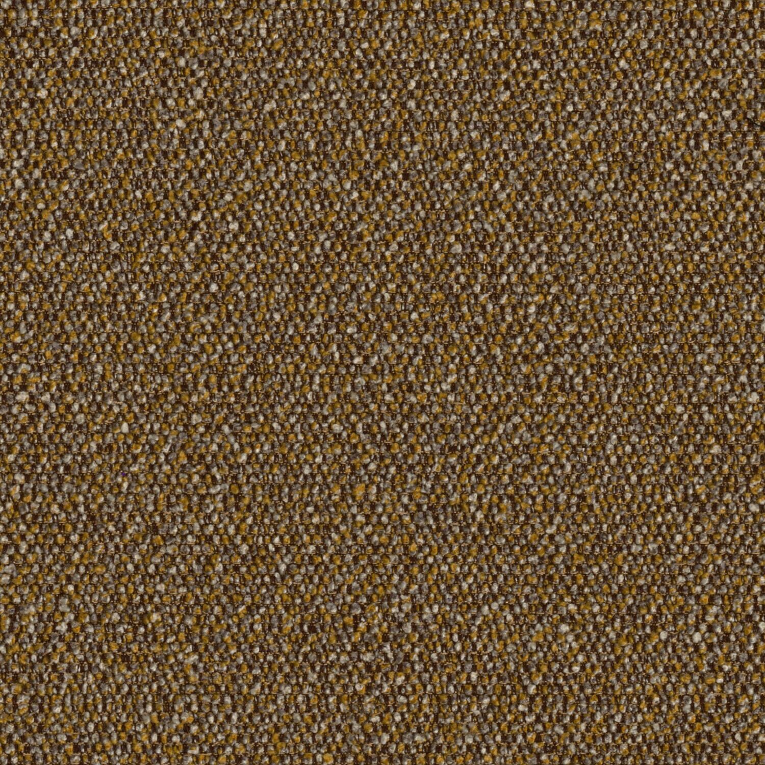 Roam - Prairie - 4155 - 01 - Half Yard