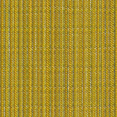 Reed Tones - Dandelion - 4151 - 02