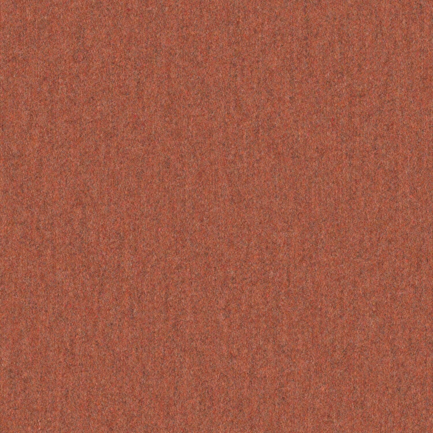 Stability - Cider - 2010 - 19 - Half Yard